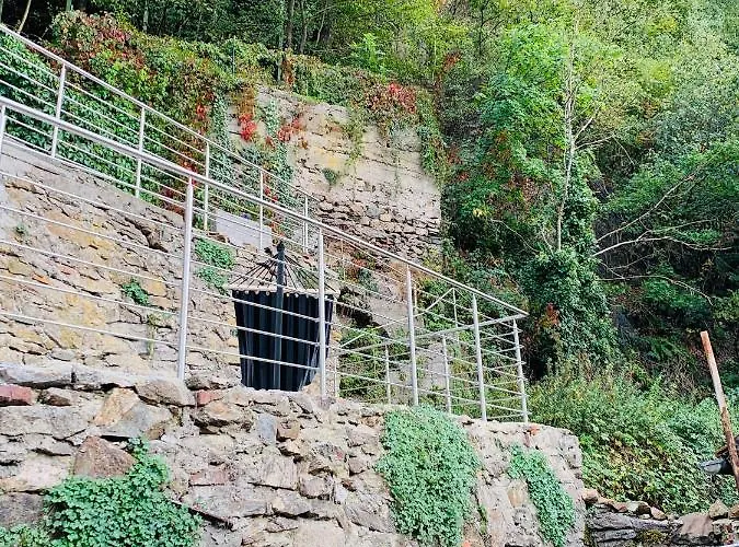 Felix Living 7, Gruppenwohnung Mit Oberhausblick, Dachterrasse & Parkplatz Passau